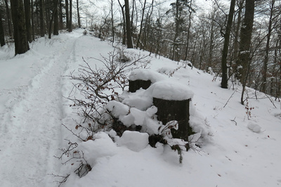 Unterwegs zur Gislifluh