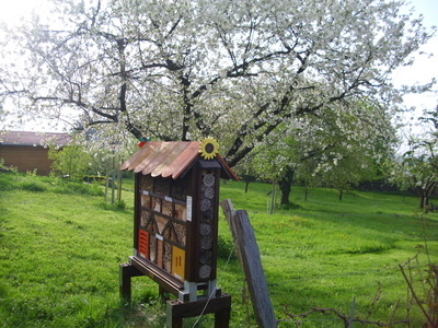 Insektenhotel mit Kirschblüte