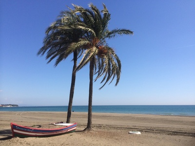 Palmen am Strand von Estepona