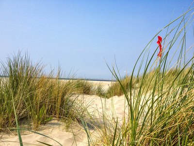 Strand und Dünen