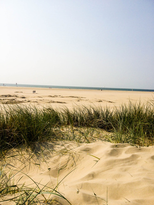 Strand und Dünen