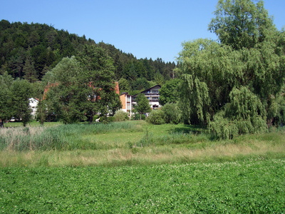 Im Grünen der Natur