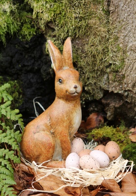 osterhase im wald