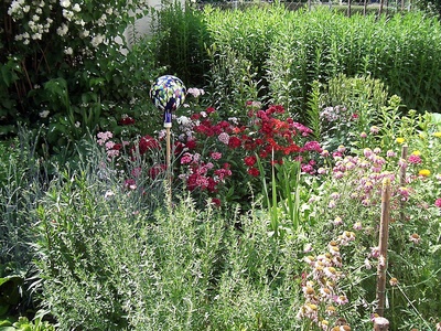 Kostenloses Foto: Blumengarten - pixelio.de