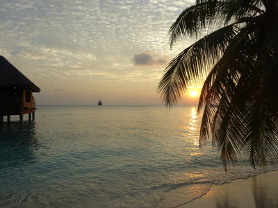 Malediven Febr. 2015