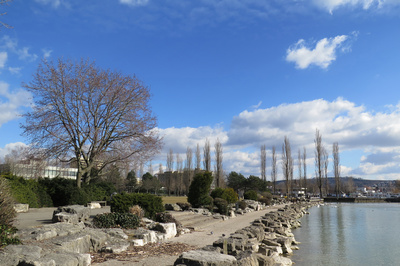 März-Temperatur am Bielersee-Ufer