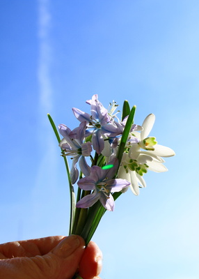 einen sonnigen frühlingstag für dich