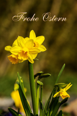 Frohe Ostern Frohe Ostern
