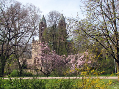 Frühlingserwachen am Speyerer Dom