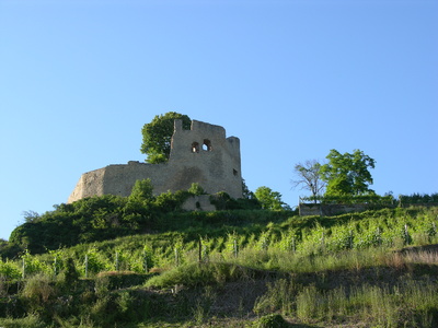 Monument Burgruine