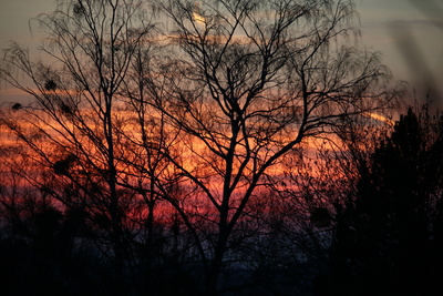 Blau-rot-grauer Sonnenuntergang