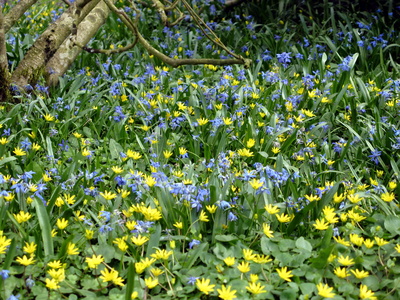 Blau und gelb