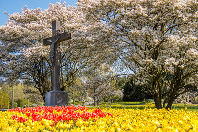 Farbenmeer am Friedhof Farbenmeer am Friedhof