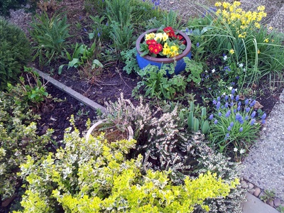 Frühling im Vorgarten 2