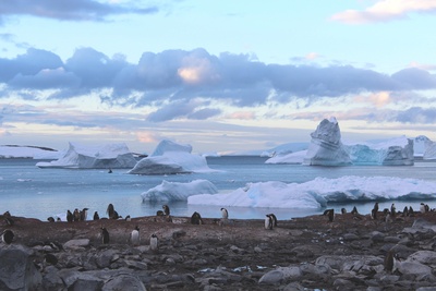 Antarktis - Eisberge
