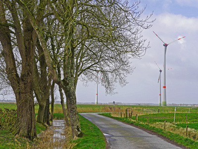 Flachland, Bäume, Wimdräder . . . .