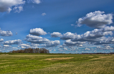 Weites Elbvorland Weites Elbvorland