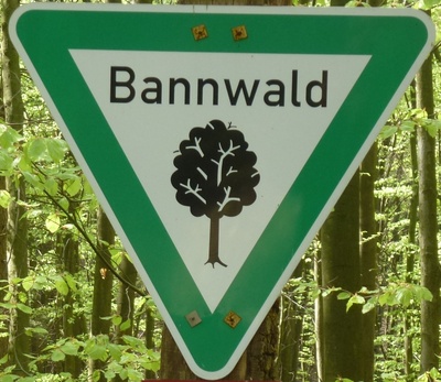 Bannwald