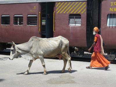Zugfahren in Indien
