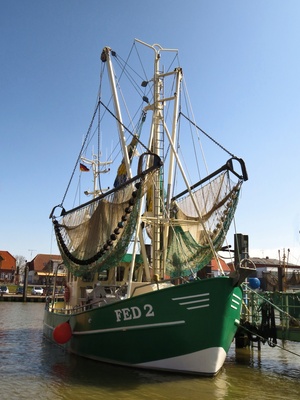 Krabbenkutter im Hafen