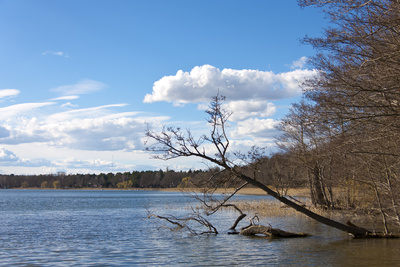 Wandlitzsee