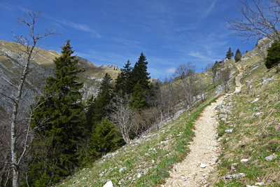 Steil aufwärts zum La Dôle (1677 m)