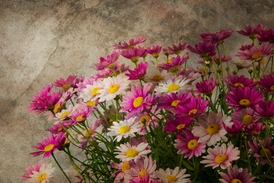 Blumiger Gruß Blumiger Gruß