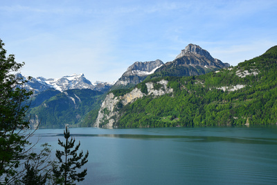 Urnersee mit Oberbauenstock