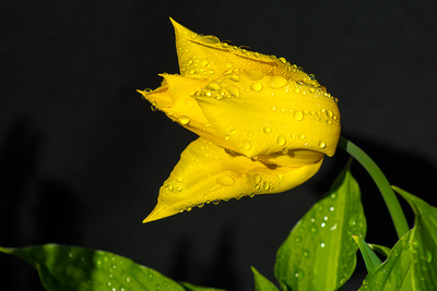 Auf Regen folgt Sonne Auf Regen folgt Sonne