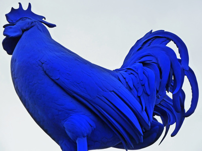 blue rooster