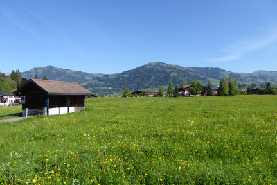 Im Saanenland (Schweiz)