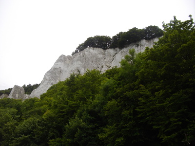 Kreidefelsen Insel Rügen