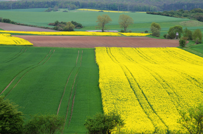 Die Bühne der Natur 02