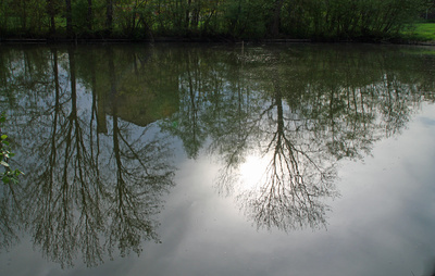 Spiegelung im Stadtweiher