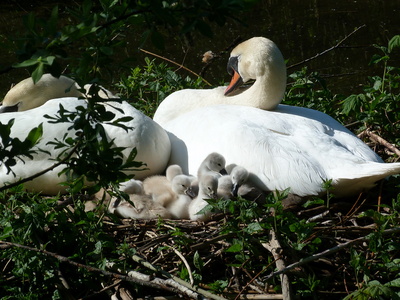 Familienleben