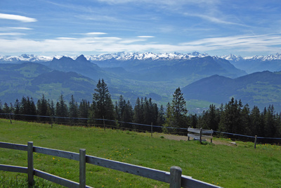 Die Urner Alpen im Blickfeld