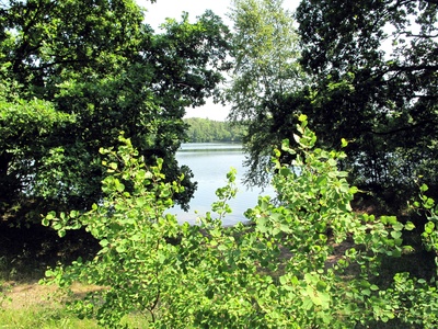 Blick auf den Ellisee