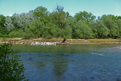 Fluss-Landschaften / 2