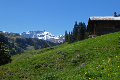 Alp Oberlochberg