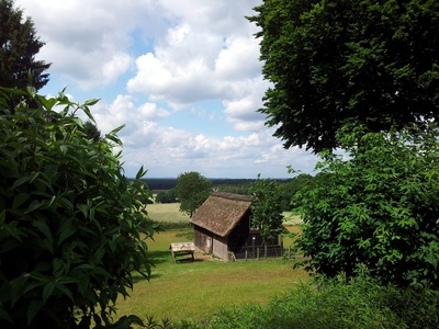 In Schneverdingen (Lüneburger Heide)
