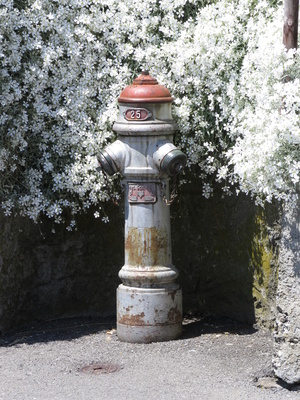 Hydrant