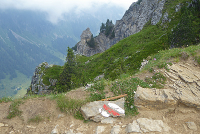 Bergweg Niederhorn--Gemmenalphorn