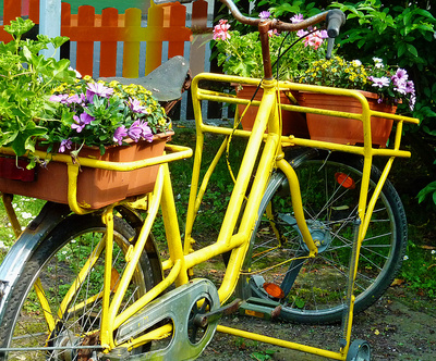 BlumenFahrrad ..