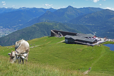 Auf der Alpe Foppa (1409 Meter)