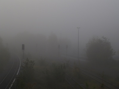 Nebel am Morgen