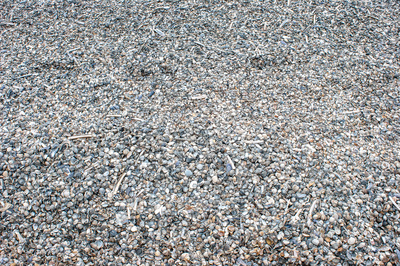 Muscheln (1) Muscheln (1)