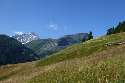 Piz Grisch (3060 Meter)