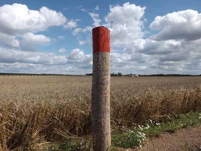 Ein Pfosten am Weg