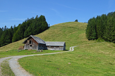 Felder und Wälder