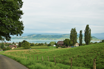 Sicht auf den Murtensee